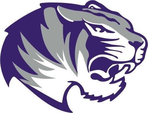 Tiger Head Logo