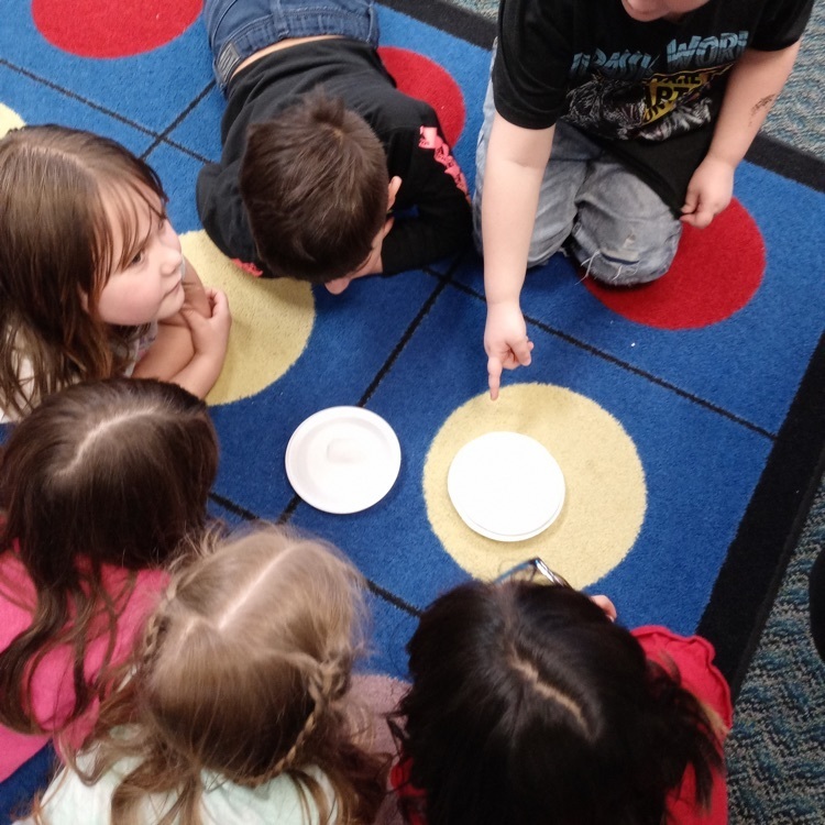 A group of students are seated and observing an ice experiment