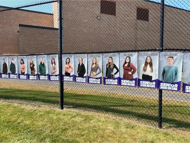 Banners of senior students